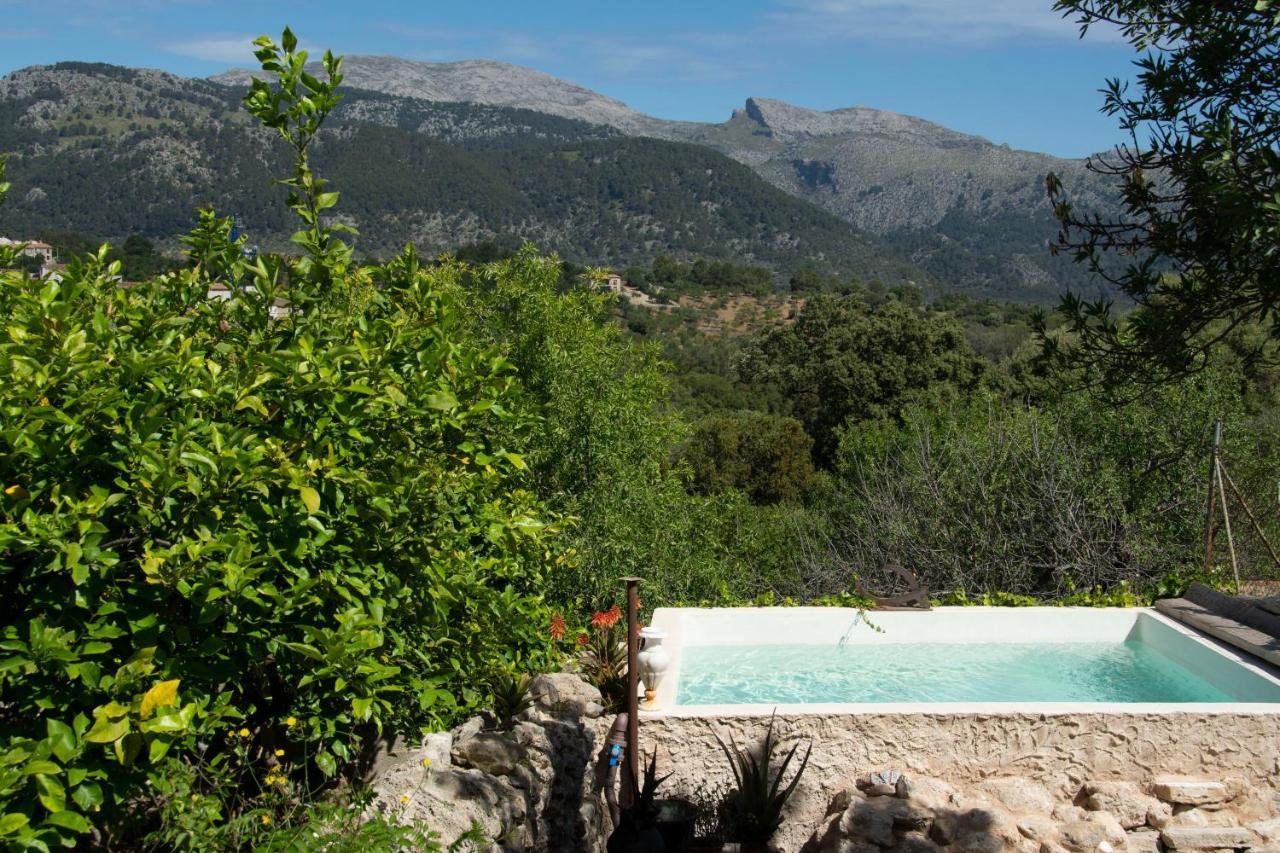 Bed and breakfast Ca Na Panxa Campanet